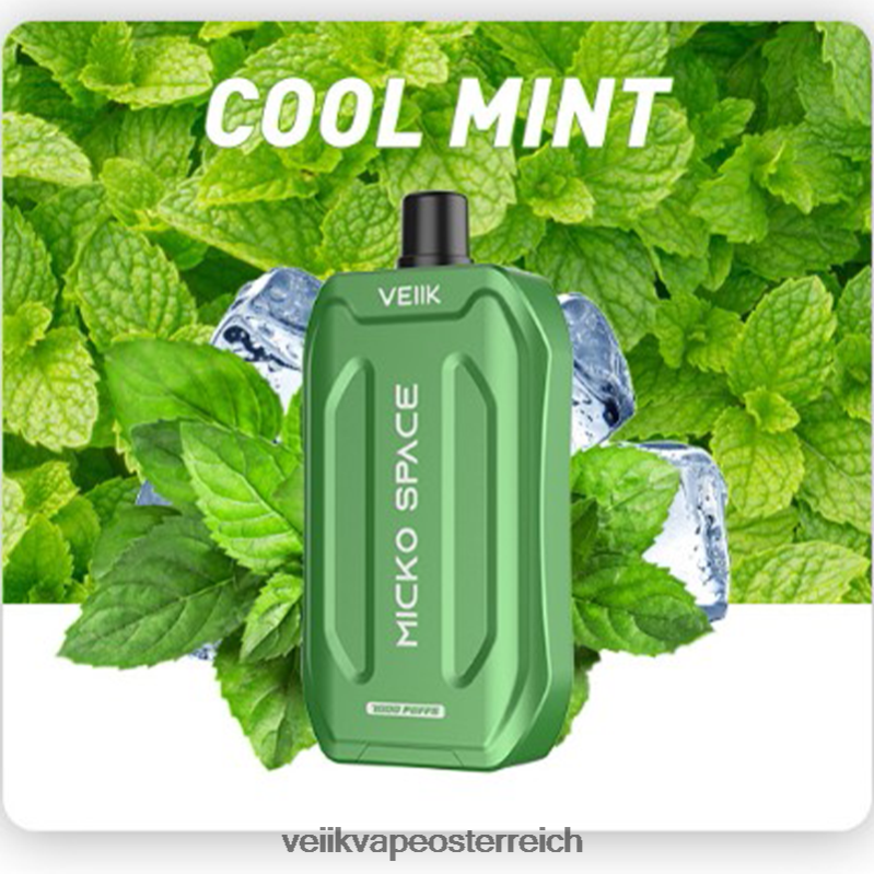 frische Minze