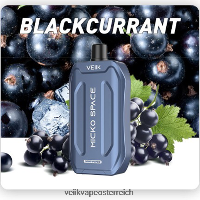 schwarze johannisbeere